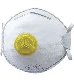 Topdan Toz maskaları