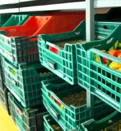 Topdan qeyri-qida və qida (Topdancılar üçün)