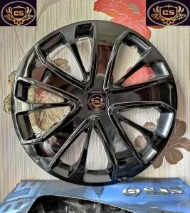 disk qapagi sport r15