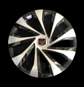 disk qapagi kalpak r15/r14