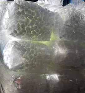 İran Növ Kəllə Qənd