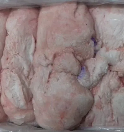 Topdan Quyruq erkək